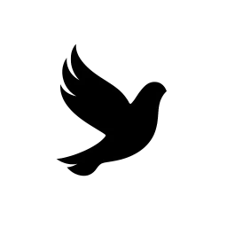 black pigeon